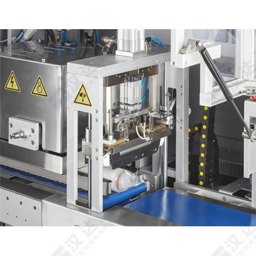 ��Willi KOPP�Pʽ���Ӱ��b�CGEMINI-INT