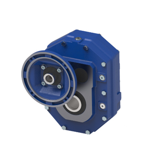 �S�b�X݆��