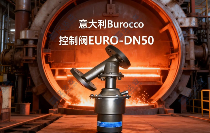 Burocco EURO DN50��䓏S��ՠt����ն��{(di��o)��(ji��)����4.jpg